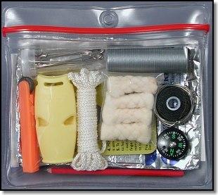 PSP in Pouch