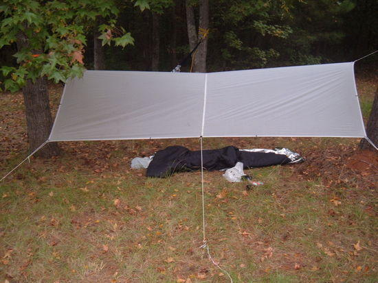 Under one of my tarps