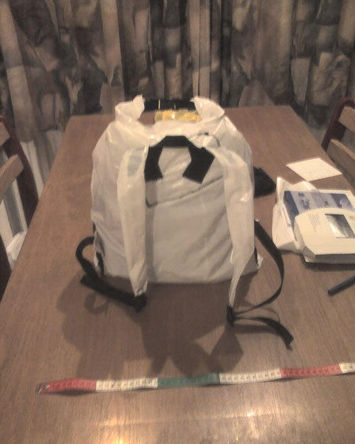 backpack back view