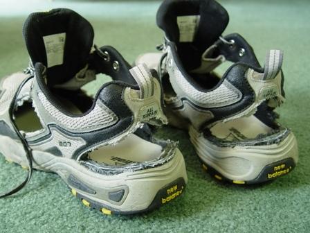 Customized shoe