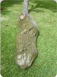 Sleeping bag