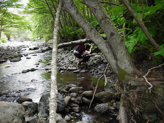 Off-Trail Stream Navigation Conditions