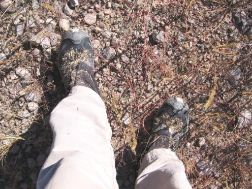 This is your shoes on weed. Any questions?