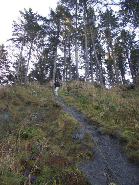 An overland crossing