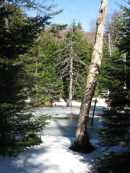Snow/Pond on West Ridge Trail near Glastenbury Mountain