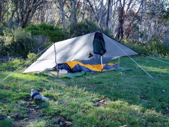 Tarp