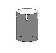 ferrule
