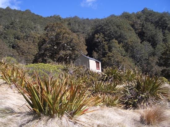 mole hut