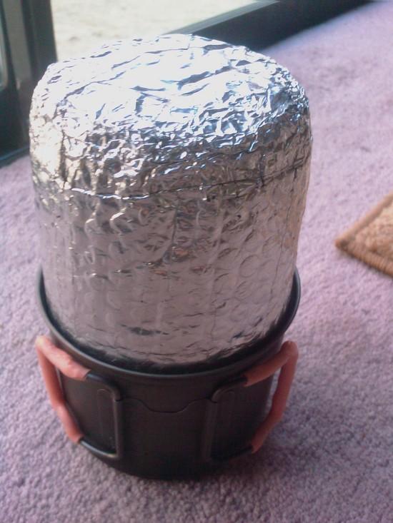 Mesh Bag Removed