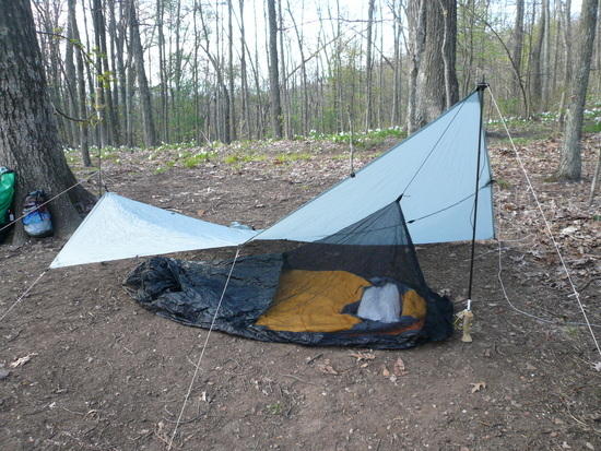 tarp2