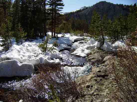 SoForkCreek