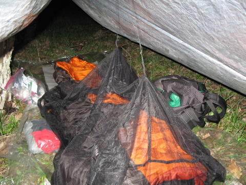 bug net