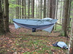 hammocking 1