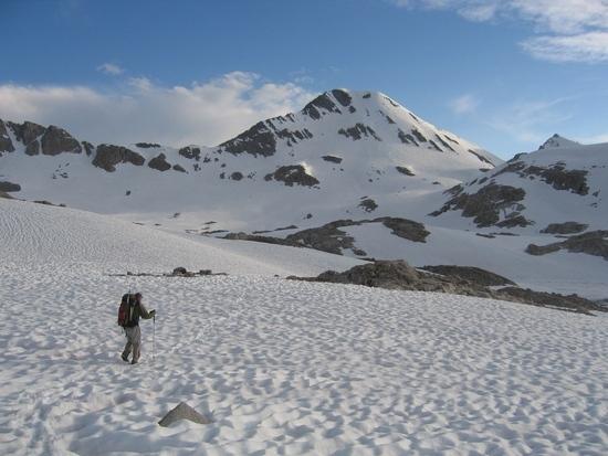 towards muir
