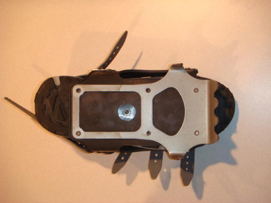 bottom view