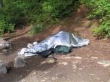 A nap in the Olympic Mountains