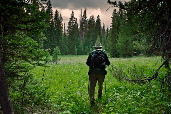 Enos Cutoff Trail (Sigma DP1)