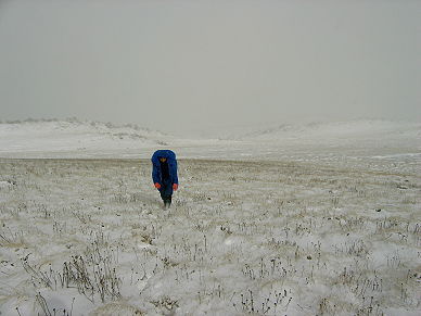 Late summer snow