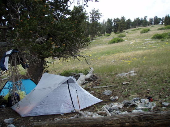 Charleston Peak Refuge X