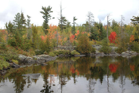 BWCAW