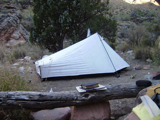 Cottonwood