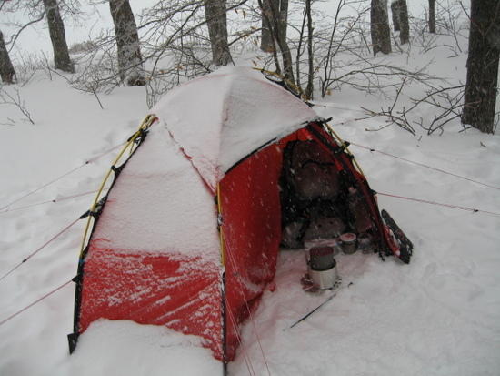 PackaFeather XL in Soulo Vestibule