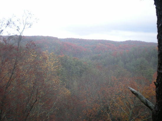 Red River Gorge Amazing
