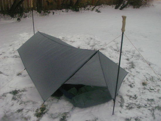 Tarp