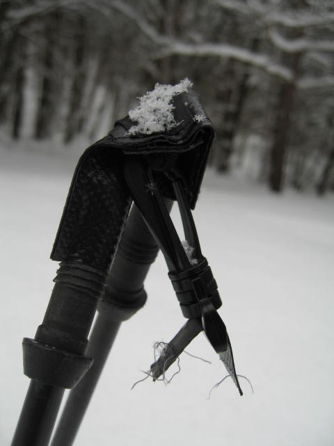 Pole Holder Ripped off Broken Threads Visible