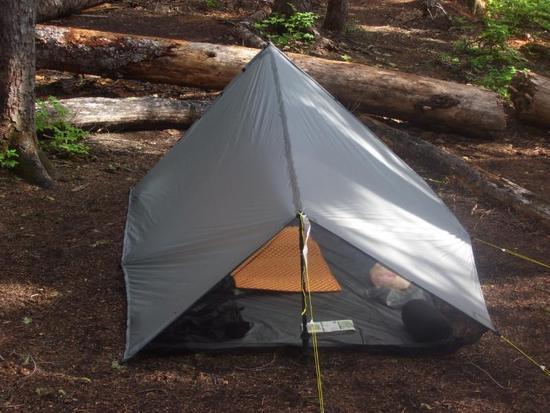 tarp