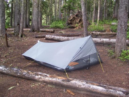 tarp
