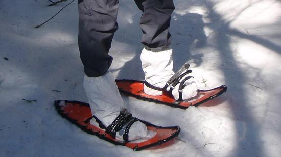 Tyvek Boots