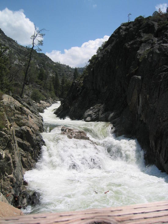 River Under the Bridge