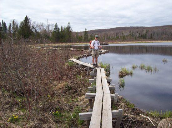 Sawmill Bog - yup, that's a boardwalk on top of a beaver dam