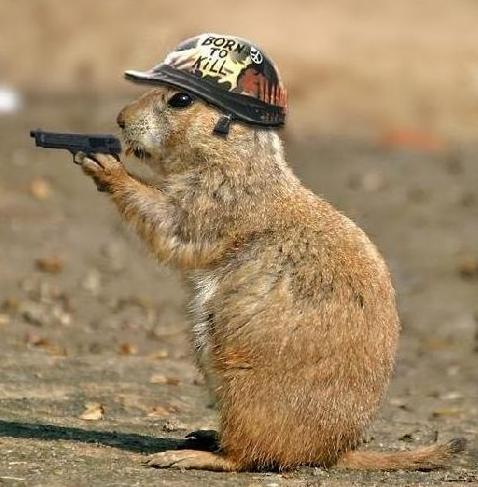 born to kill