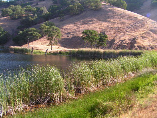 Paradise Pond