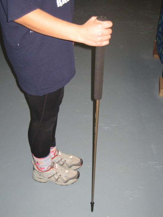short pole