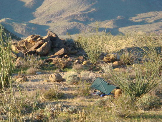 Tarp 2