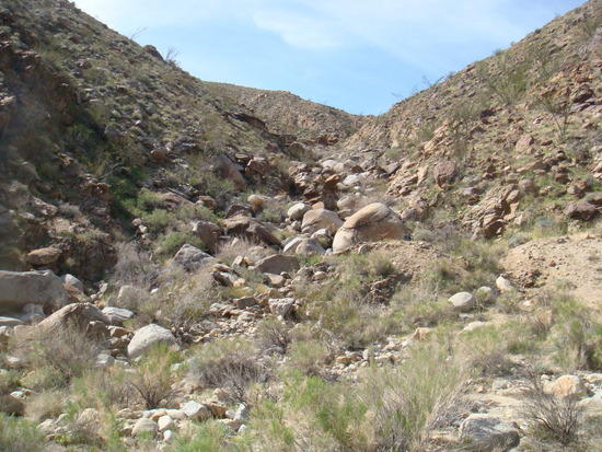 Butler Cyn Gully