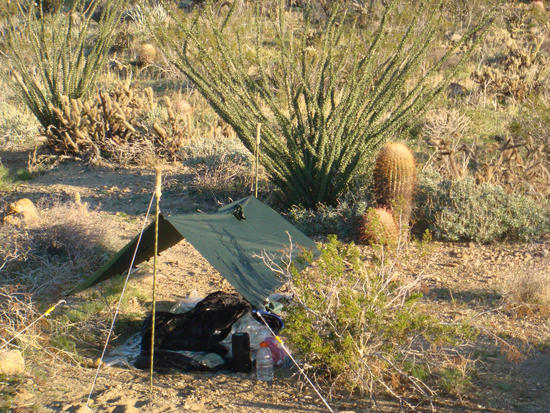 tarp-bivy