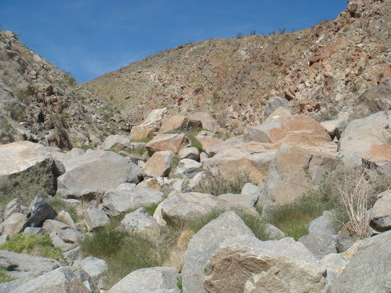 Rocky trail