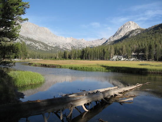 McClure Meadow