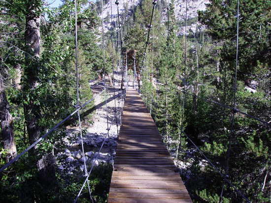 BRIDGE