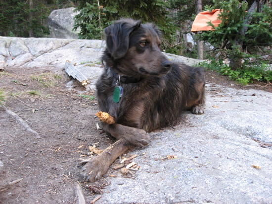 Fitzroy the Destroyer