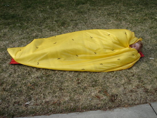 lyin' in the backyard.