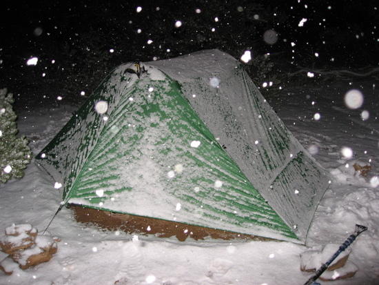 Lunar Duo in Snow