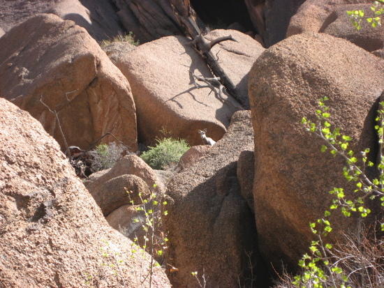 Above Lost Creek