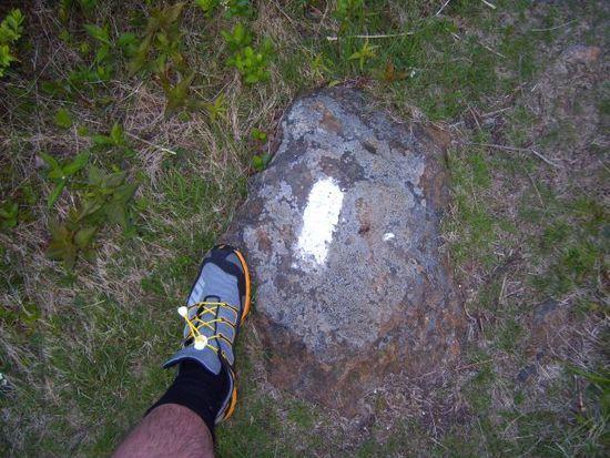Inov-8 212 on Pitcher Mountain