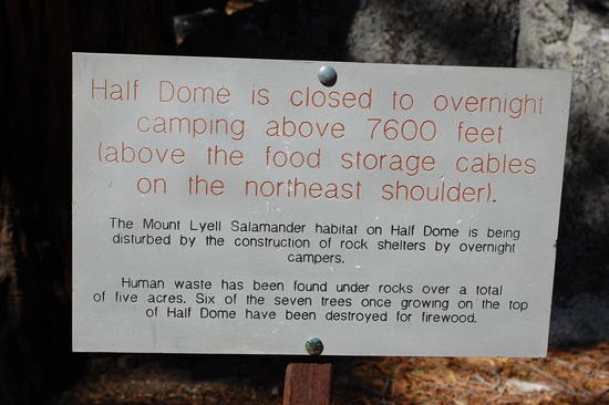 domesign