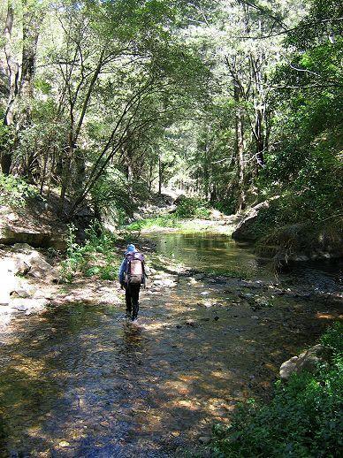 6116S - Jenolan River